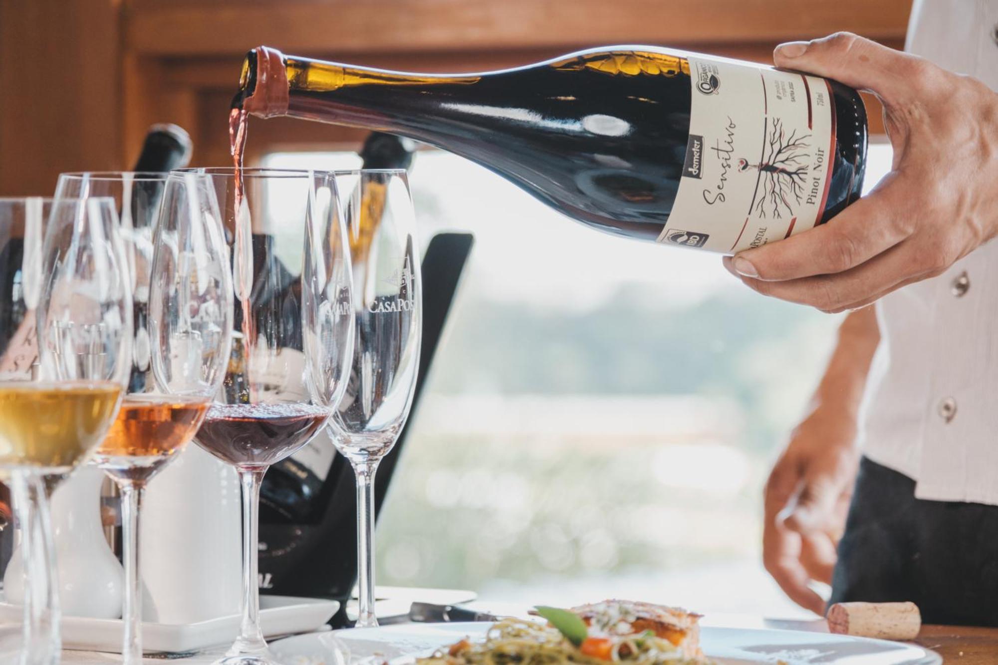 Villa Vinicolla Hospedagem Conceito 本图贡萨尔维斯 外观 照片